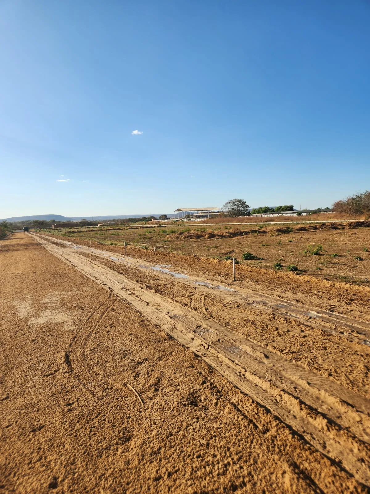 Área dos lotes em implantação